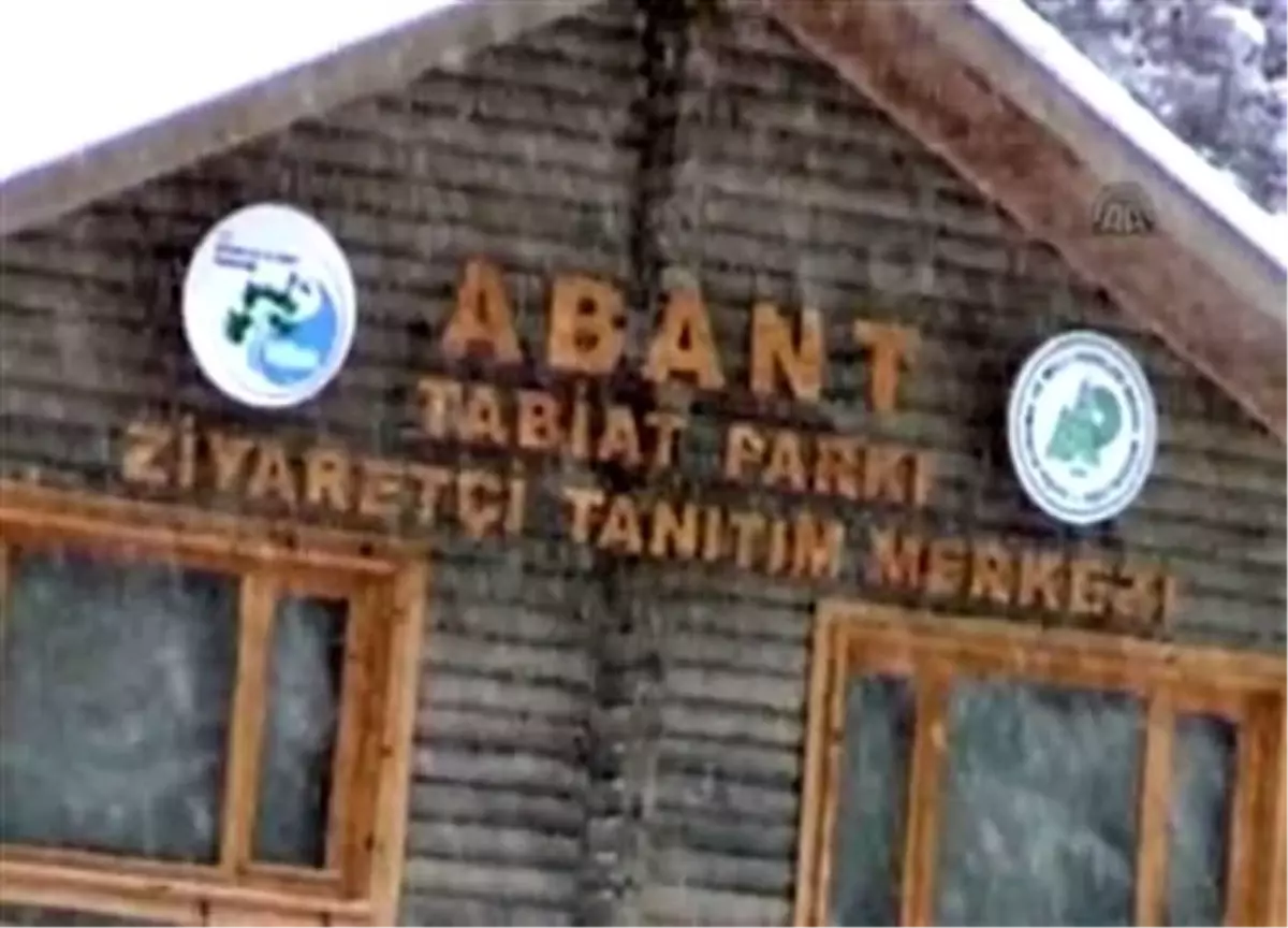 Abant\'ta kar keyfi