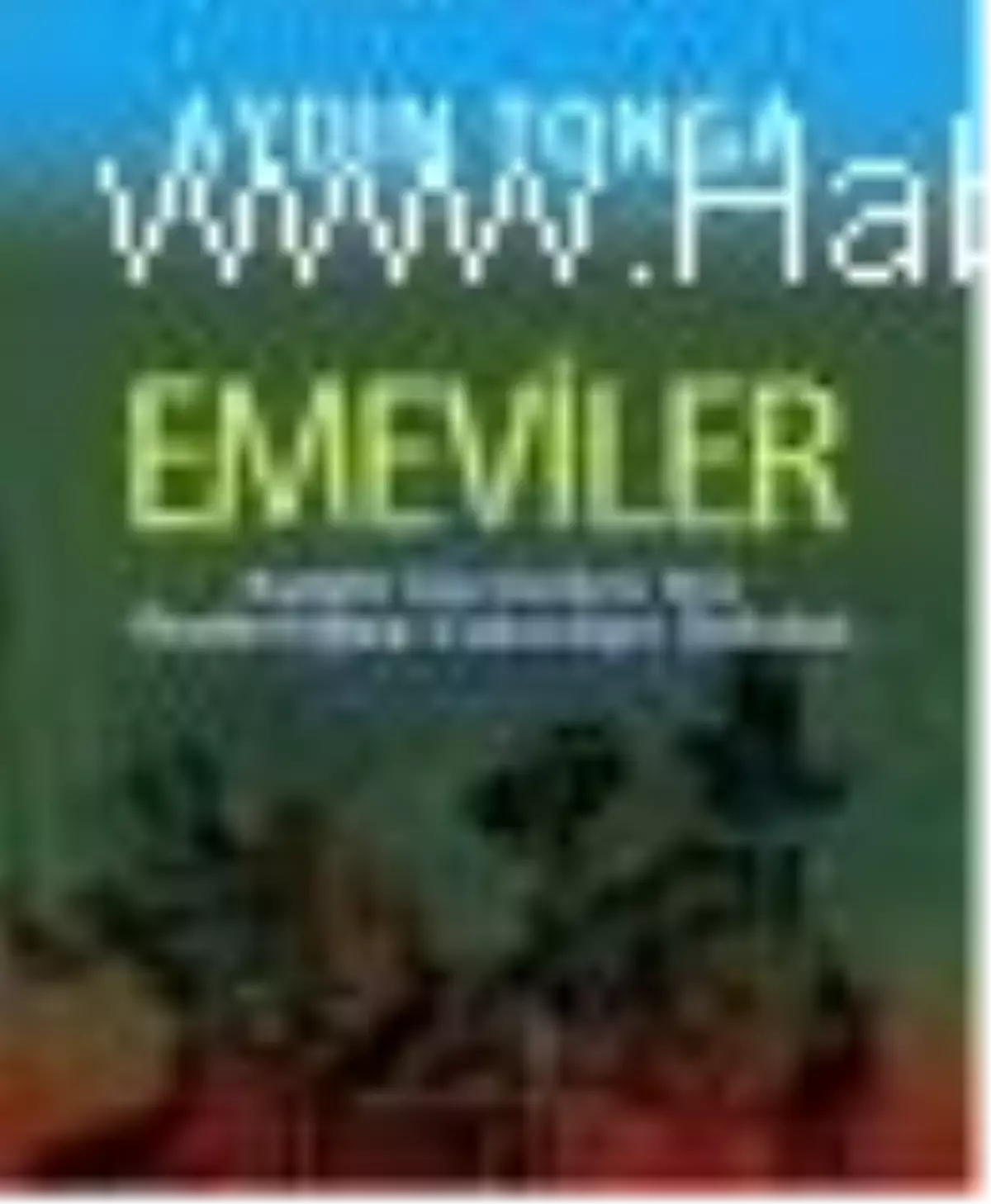 Emeviler Kitabı