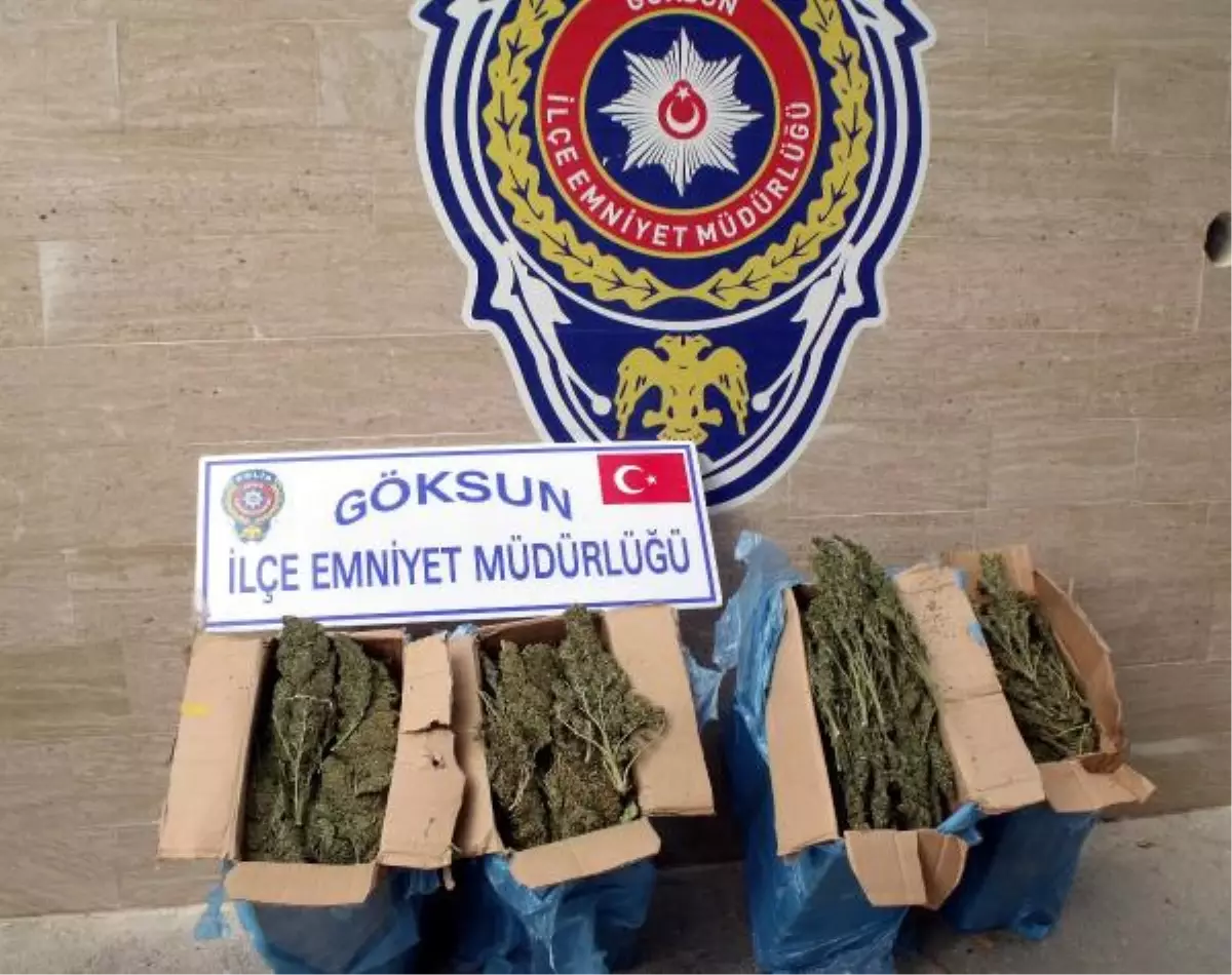 Göksun\'da 28 Kilo Esrar Ele Geçirildi