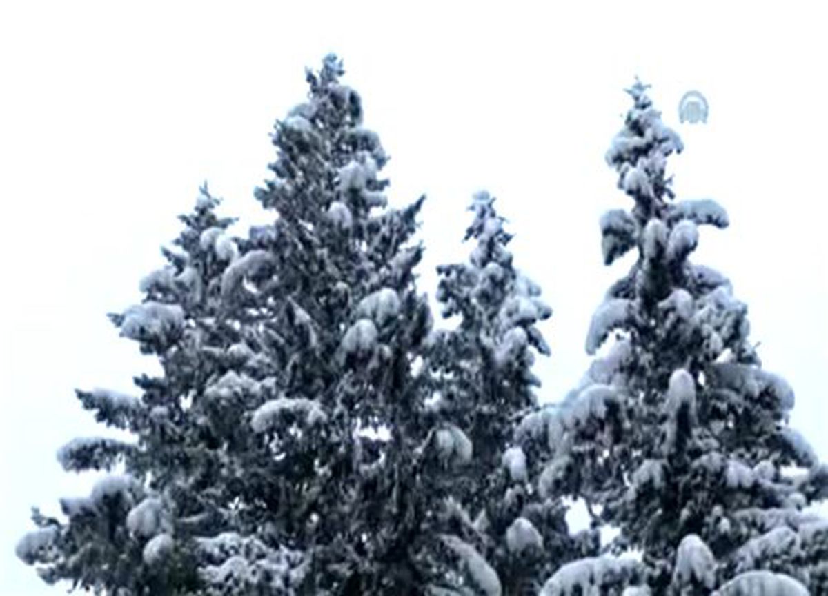 Kar yağışı