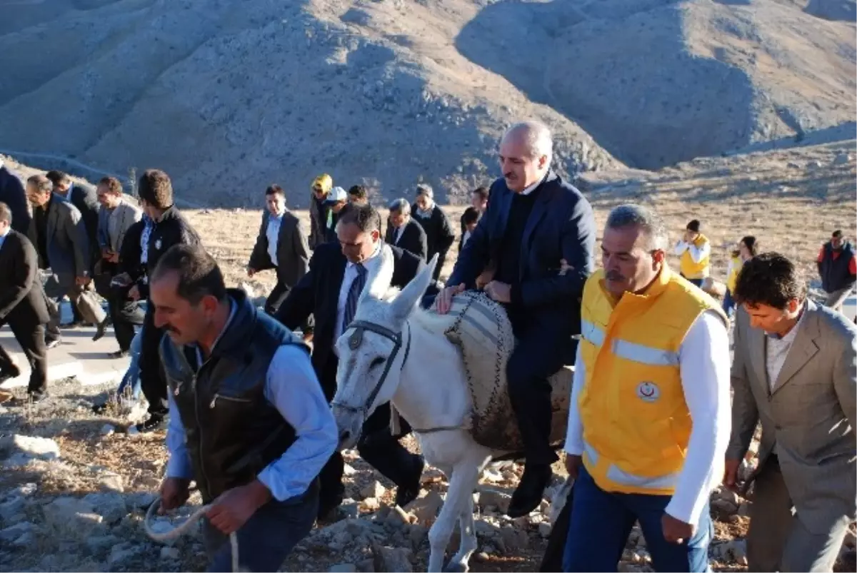 Kurtulmuş Nemrut Dağına Katır Sırtında Çıktı