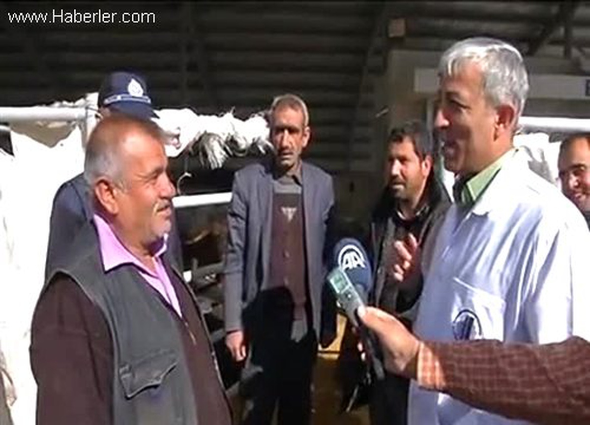 Milletvekilinden "kurbanlık tüyoları" (1)