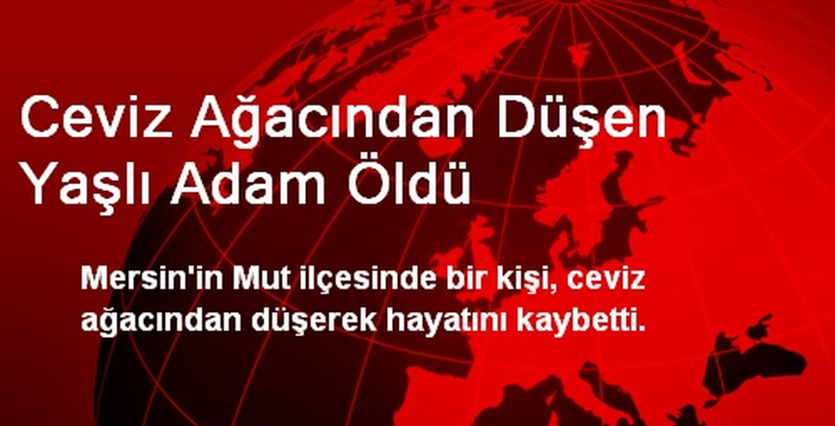 Ceviz Ağacından Düşen Yaşlı Adam Öldü