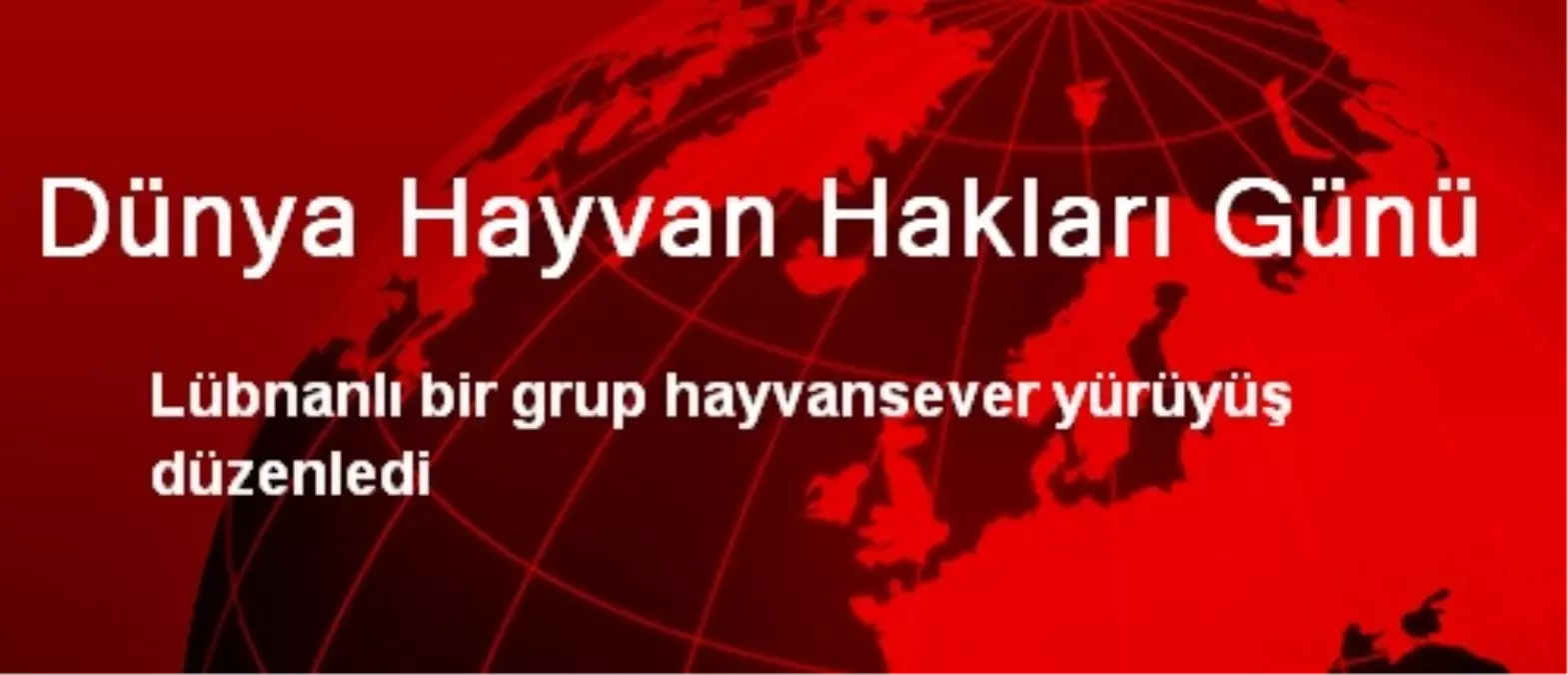 Dünya Hayvan Hakları Günü