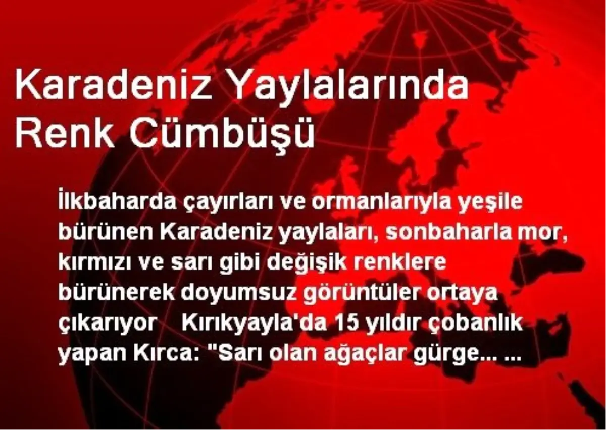 Karadeniz Yaylalarında Renk Cümbüşü