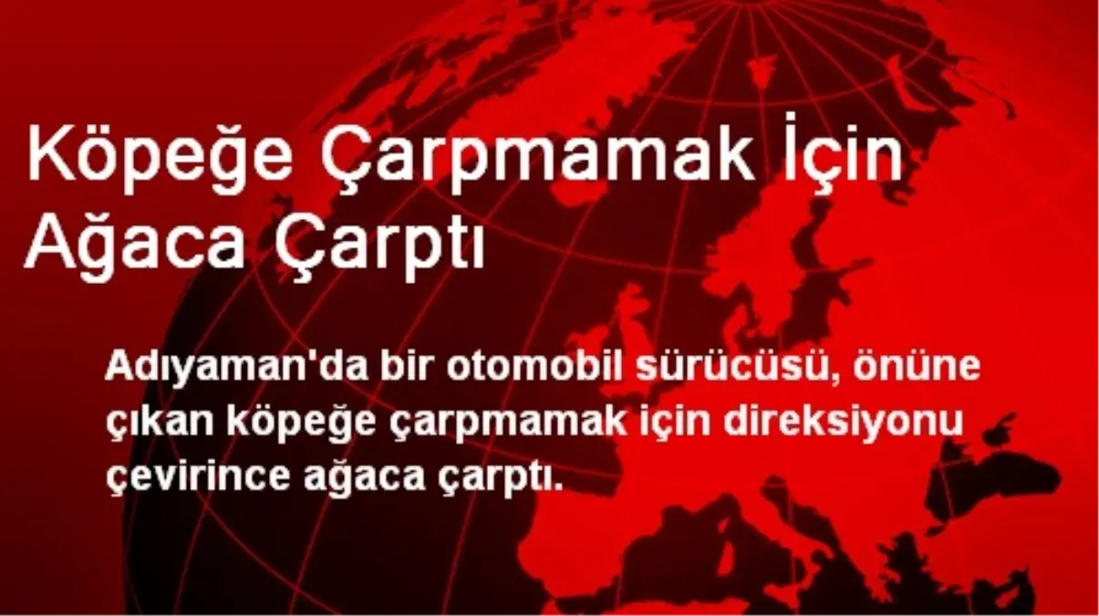 Köpeğe Çarpmamak İçin Ağaca Çarptı