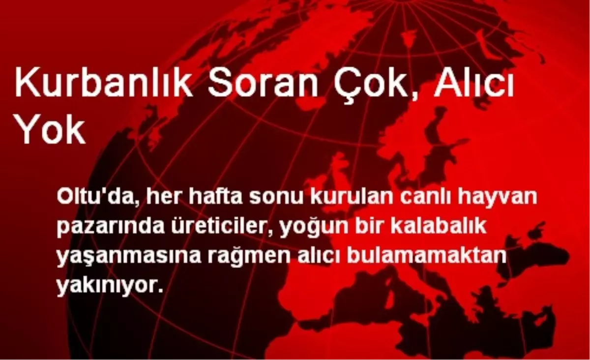 Kurbanlık Soran Çok, Alıcı Yok