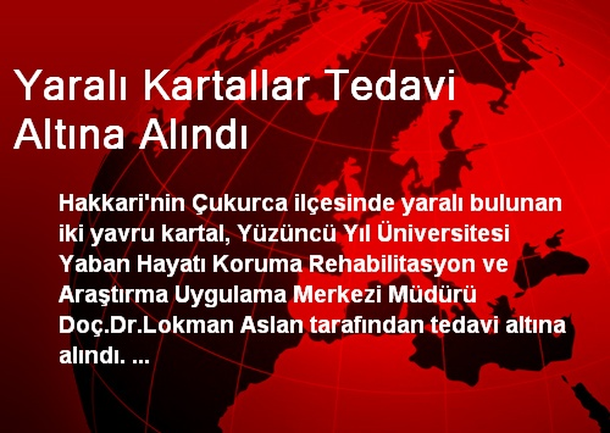 Yaralı Kartallar Tedavi Altına Alındı