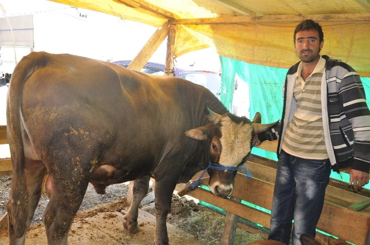 Otomobil Fiyatına Kurbanlık