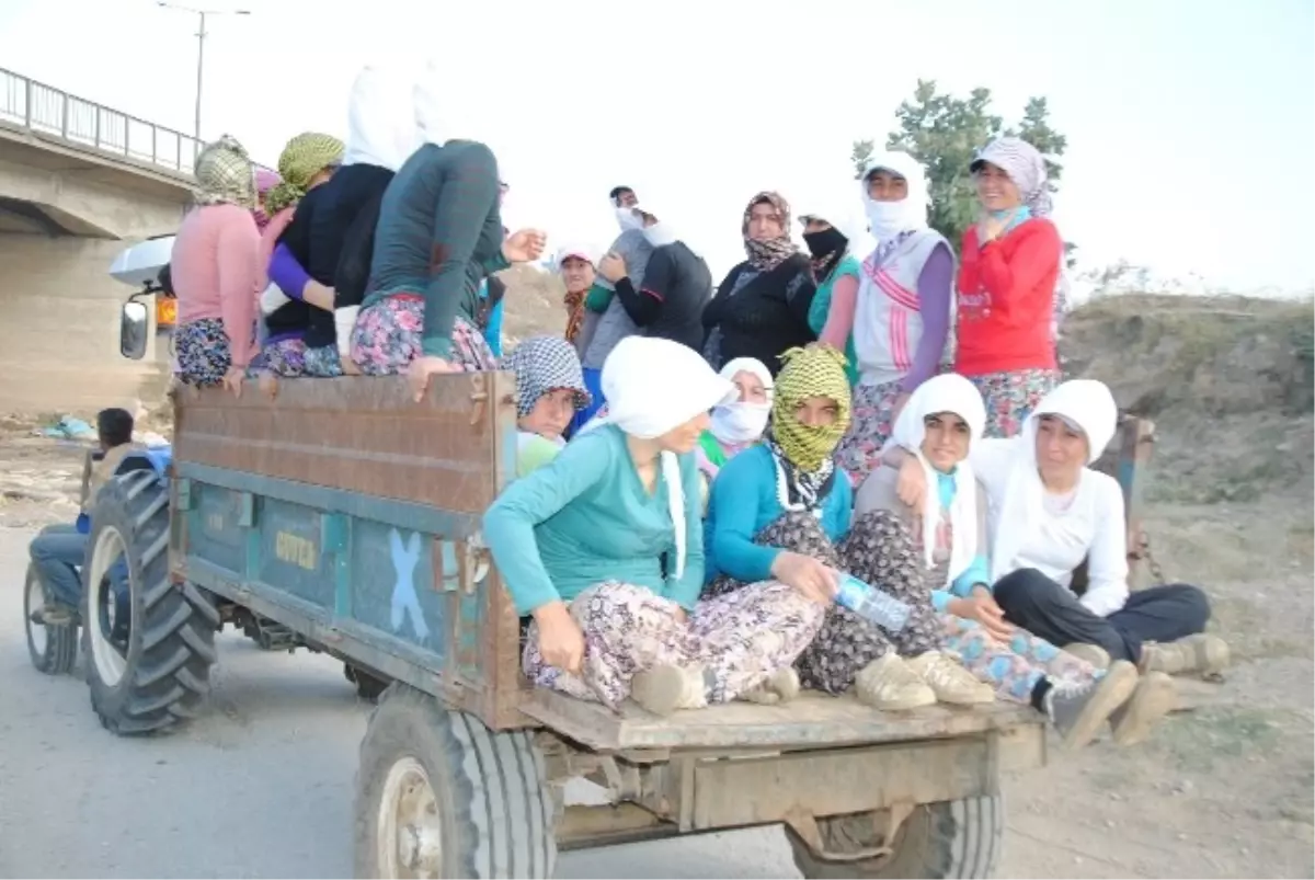 (Özel) Tarım İşçilerinin Ölümüne Yolculuğu