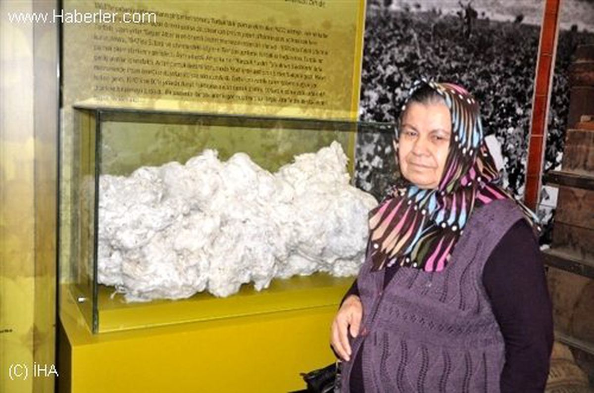 Rehber Babaanneden Torununa Nasihat
