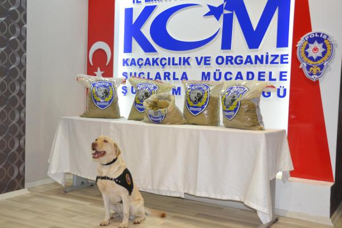Siirt\'te 41.5 Kilo Esrar Ele Geçti