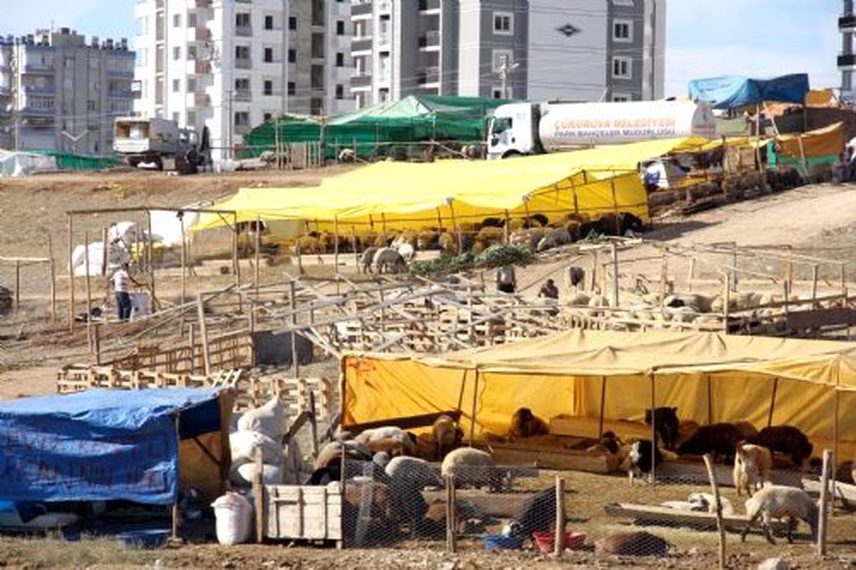 Zonguldak\'ta Kurban Satış ve Kesim Yerleri Belli Oldu