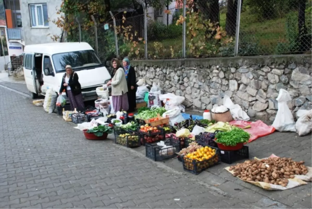 İskebe\'de Halk Pazarı Kuruldu