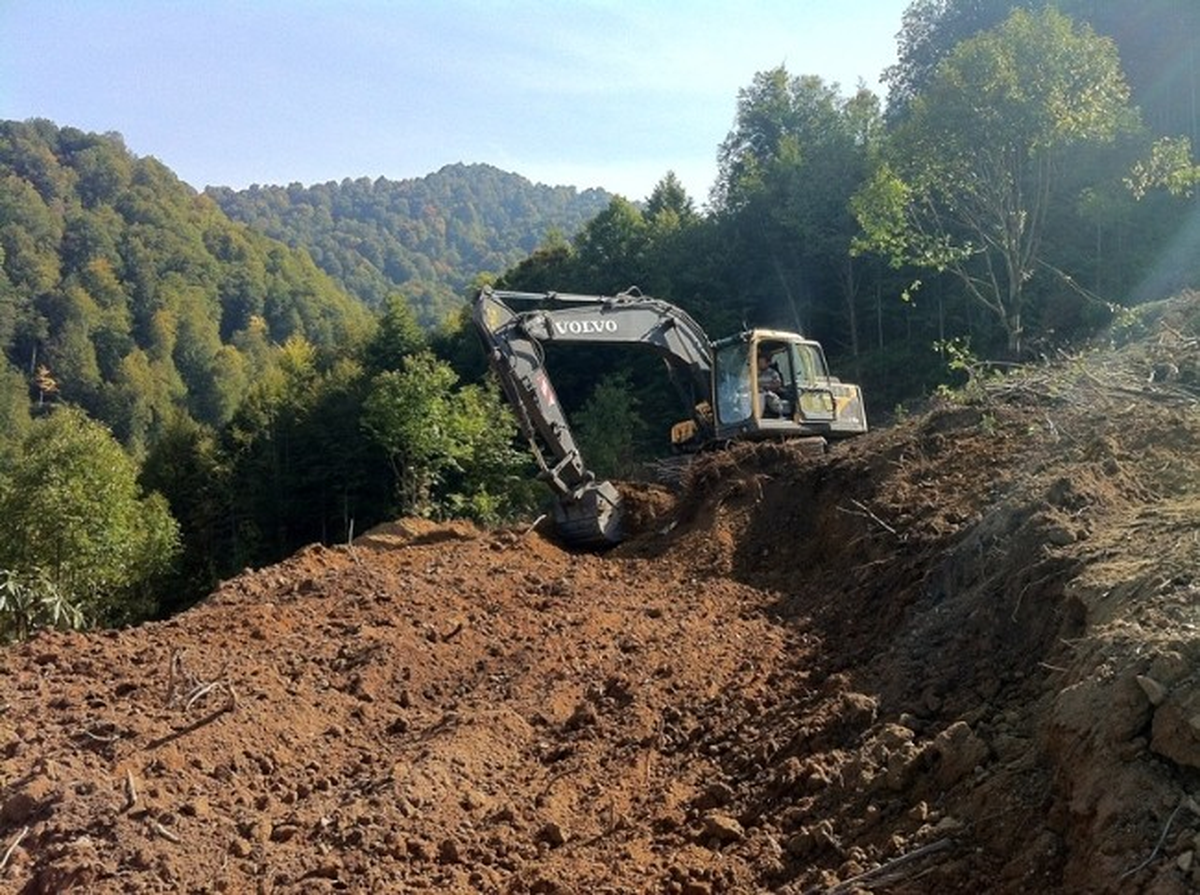 Karapürçek Bal Üretim Ormanı Hızla Oluşturuluyor