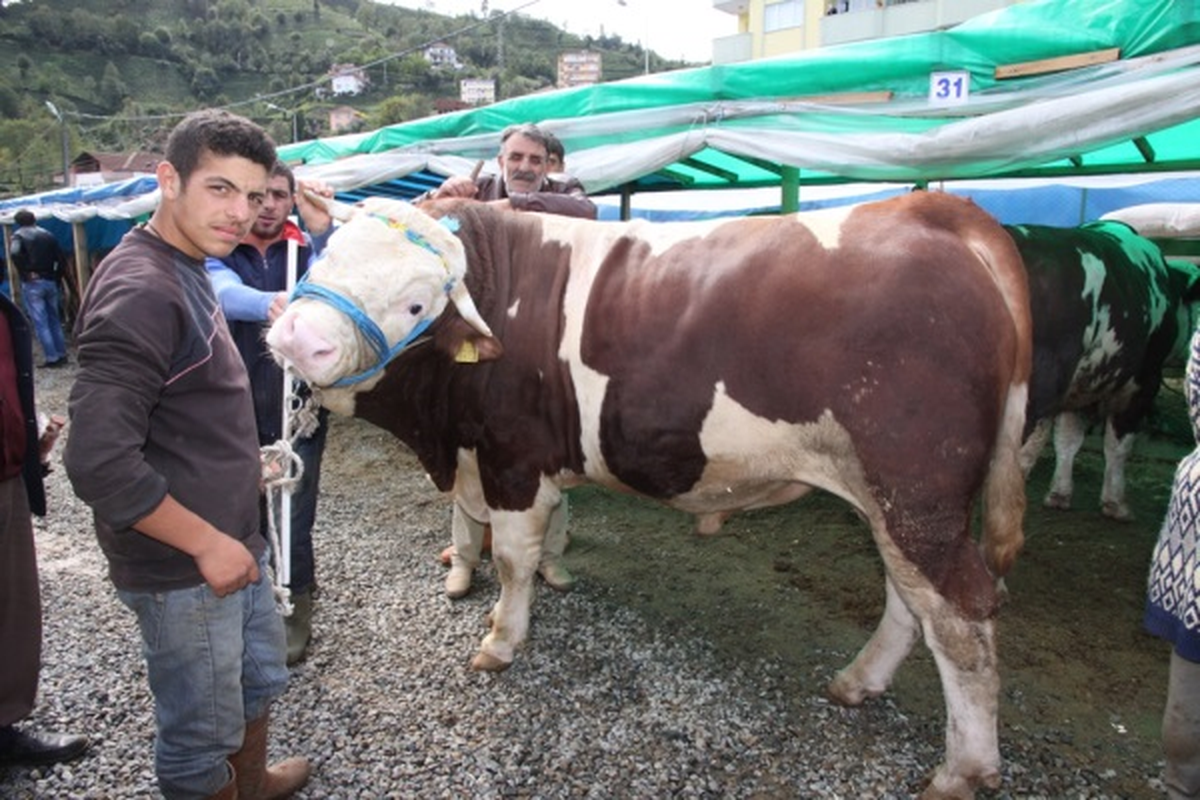 Kurban Sahipleri Bakırcı\'ya Teşekkür Etti