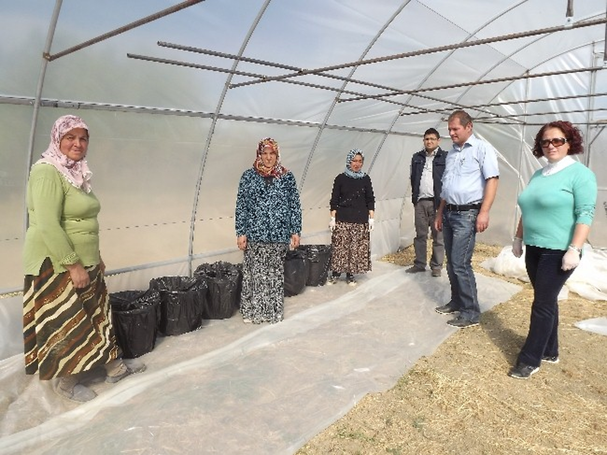 Mantar Üretecek Girişimciler Aranıyor