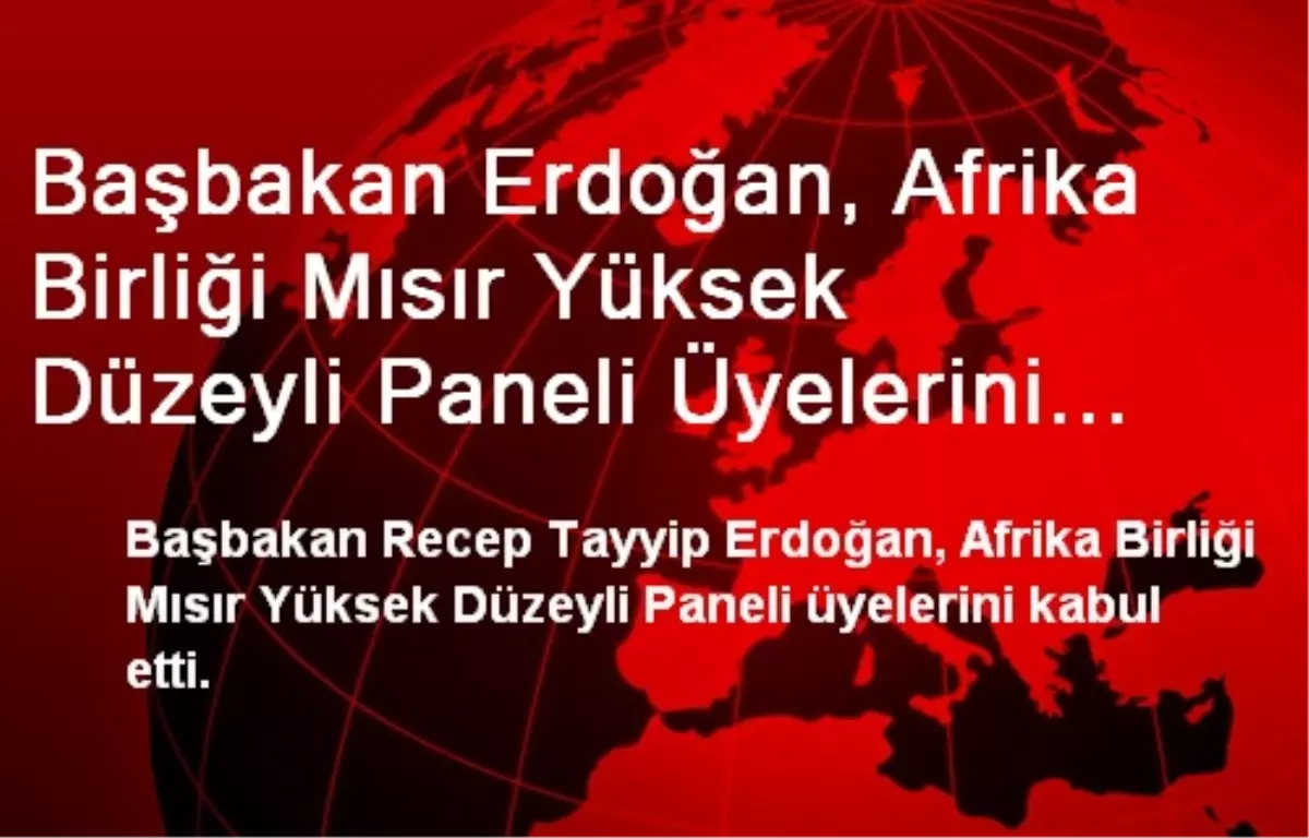 Başbakan Erdoğan, Afrika Birliği Mısır Yüksek Düzeyli Paneli Üyelerini Kabul Etti