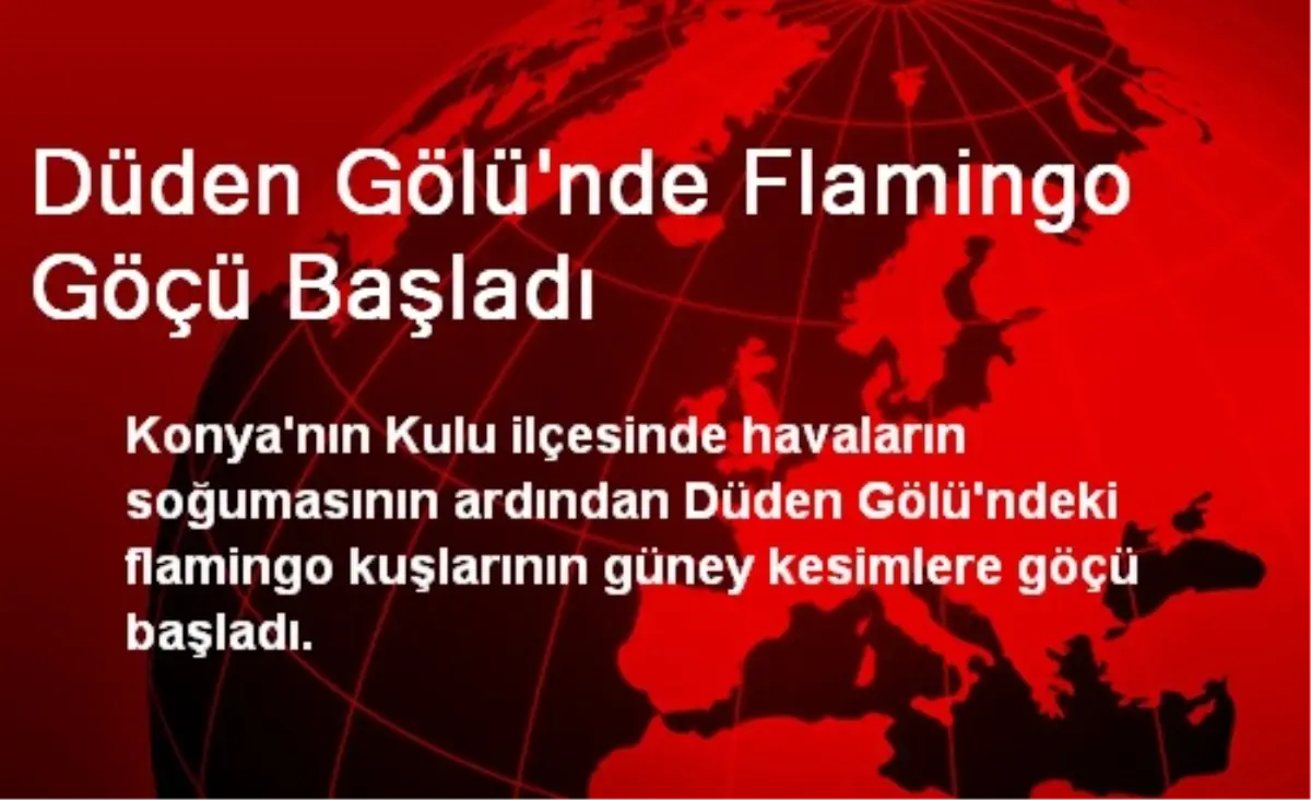 Düden Gölü\'nde Flamingo Göçü Başladı