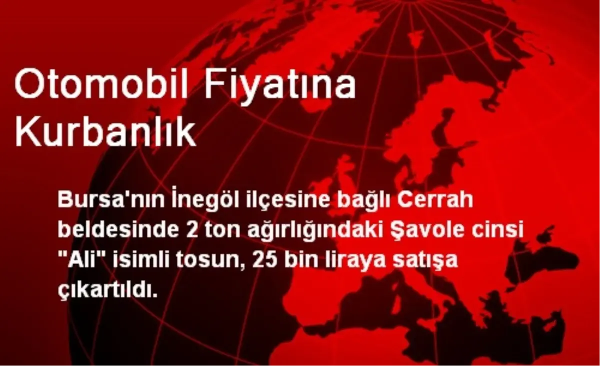 Otomobil Fiyatına Kurbanlık