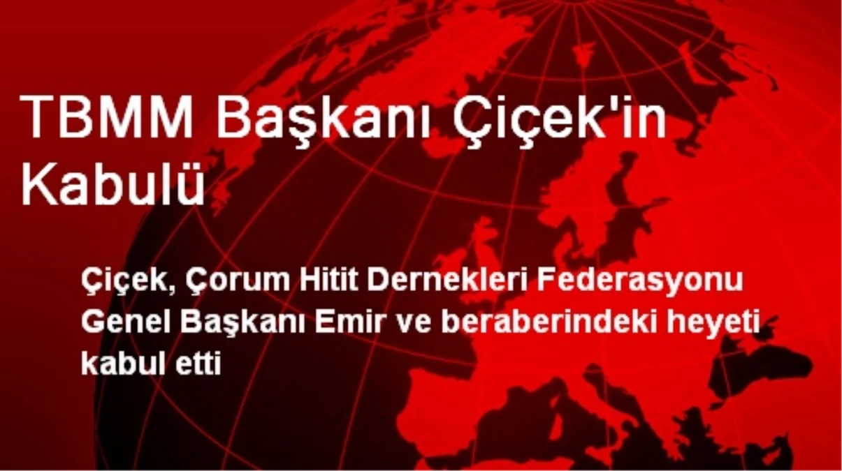 TBMM Başkanı Çiçek\'in Kabulü