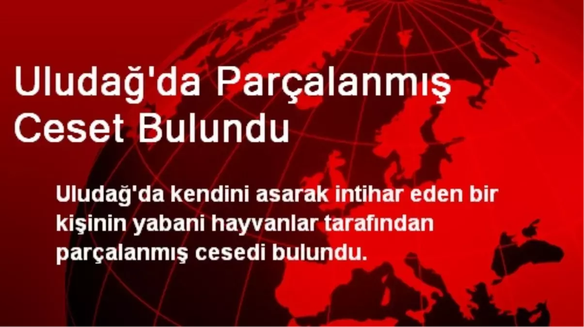 Uludağ\'da Parçalanmış Ceset Bulundu