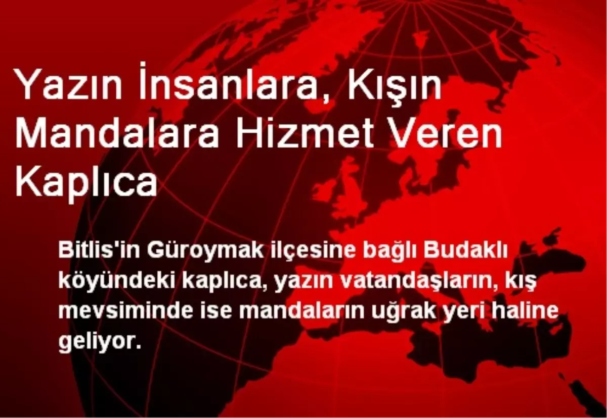 Yazın İnsanlara, Kışın Mandalara Hizmet Veren Kaplıca