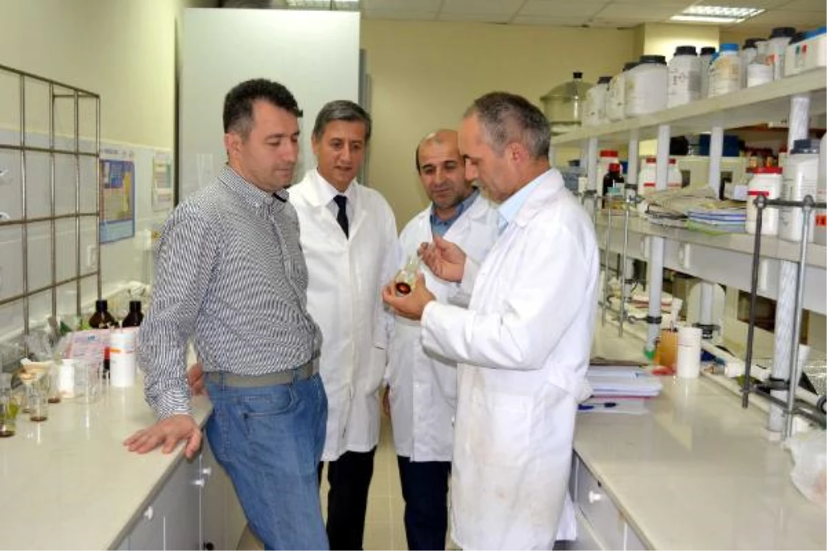 Sakarya Üniversitesi\'nde Yeni Anbakteriyel Ürün Geliştirildi