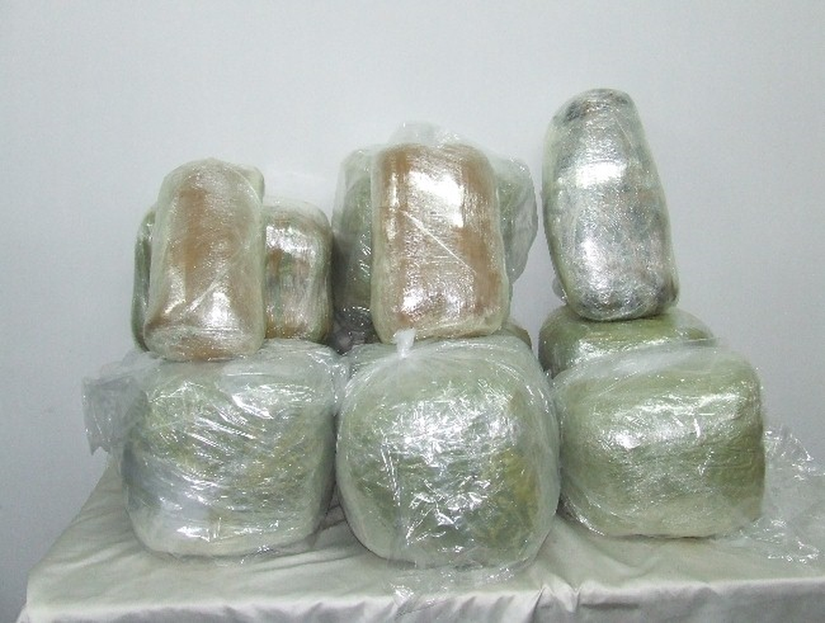 Yolcu Otobüsünde 14 Kilo Esrar Ele Geçirildi