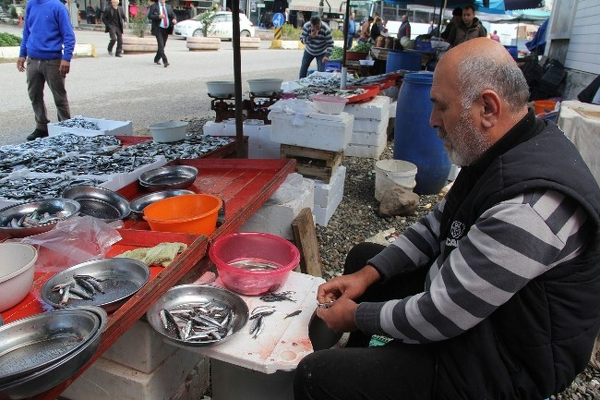 Balık Fiyatları Arttı