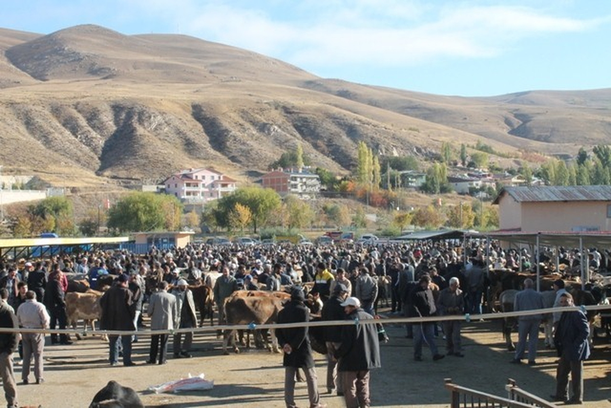 Bayburt\'ta Kurban Bayramı Telaşı