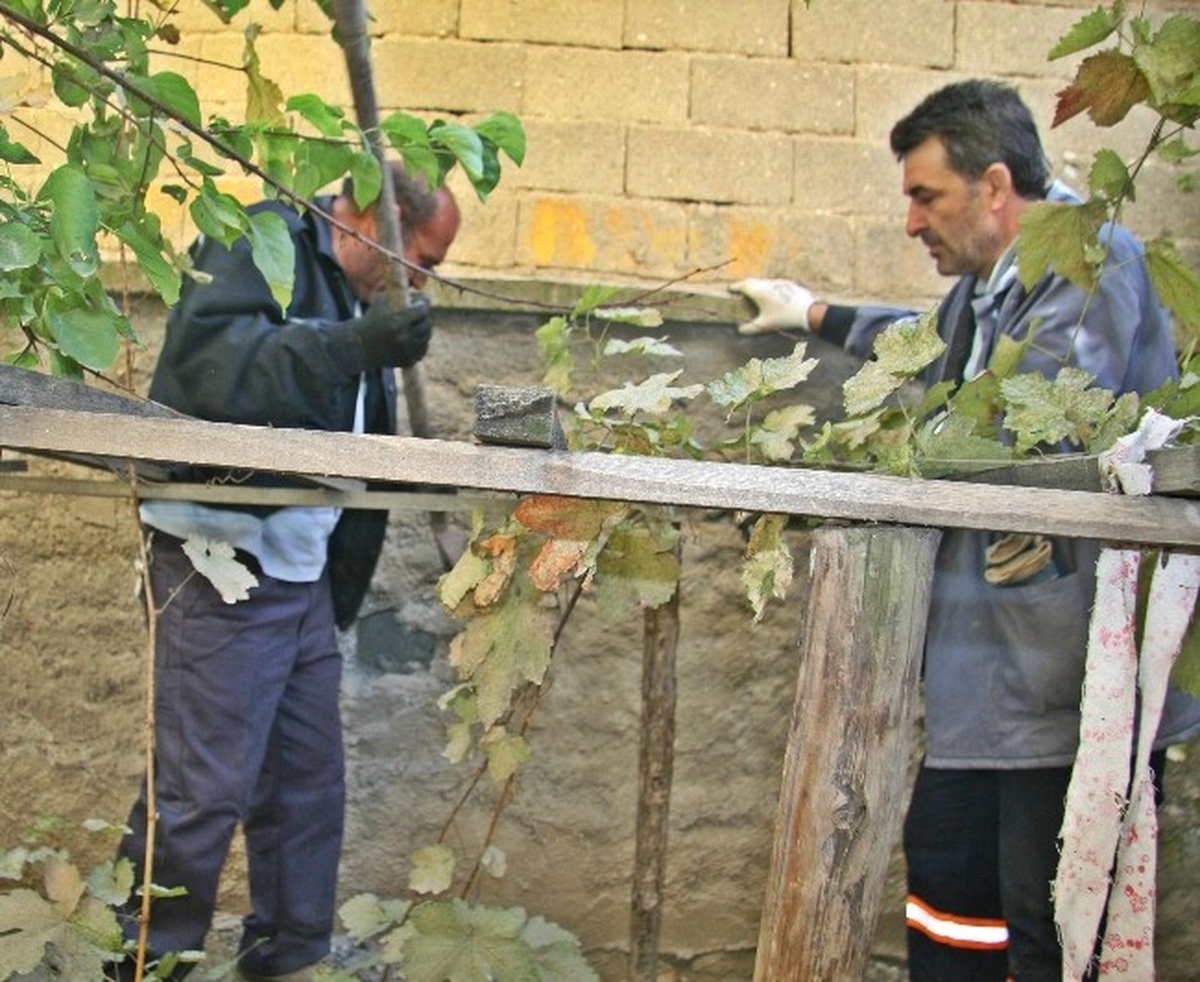 Çorum\'da Yavru Kedi Kurtarma Operasyonu
