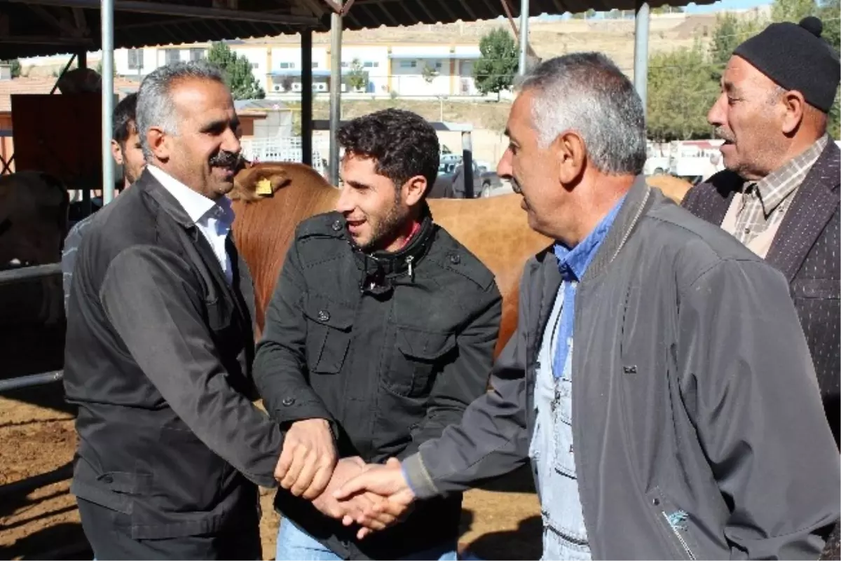 Elazığ\'da Kurban Bayramı Hazırlıkları