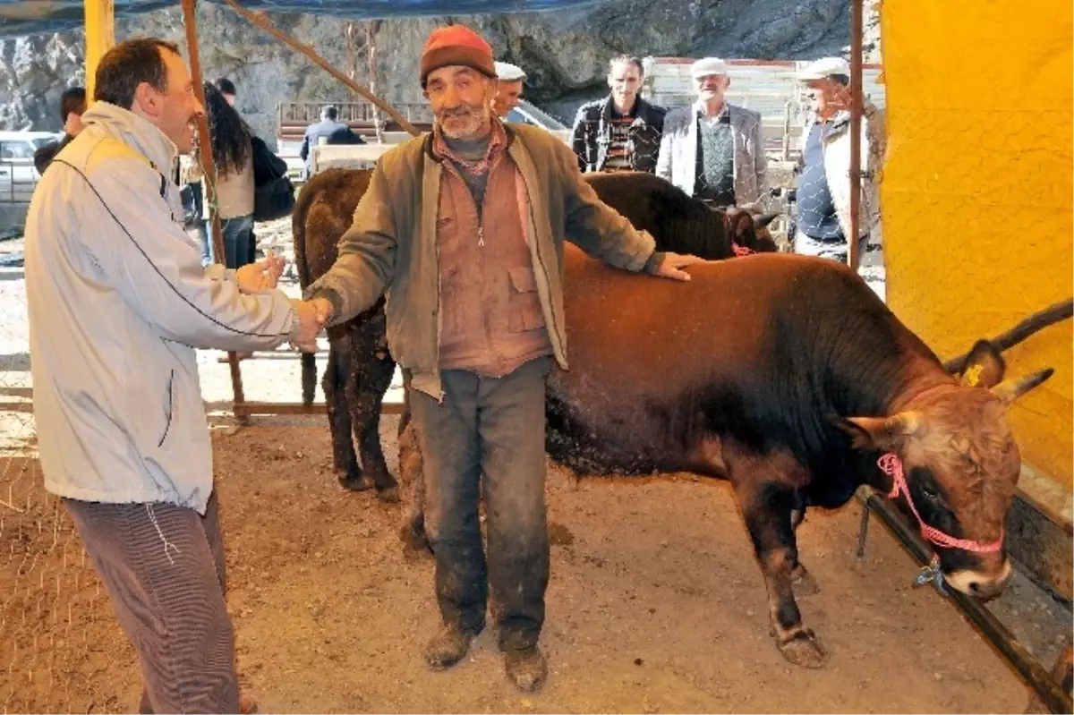 Gümüşhane Kurban Pazarında Durgunluk