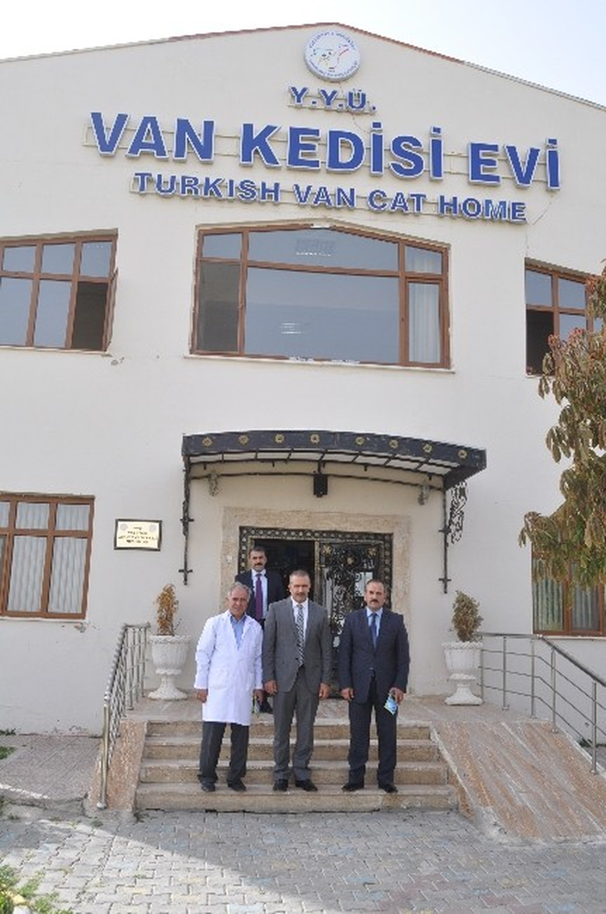Kayatürk\'ten Kedi Evine Ziyaret