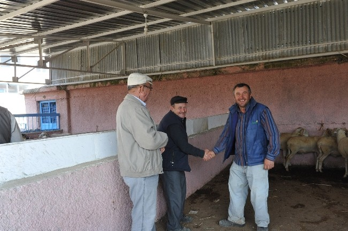 Mezbahane Kurban Bayramına Hazır