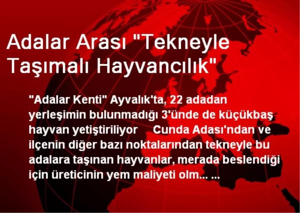 Adalar Arası "Tekneyle Taşımalı Hayvancılık"