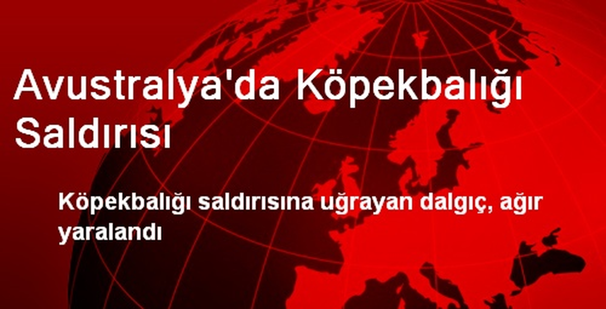 Avustralya\'da Köpekbalığı Saldırısı