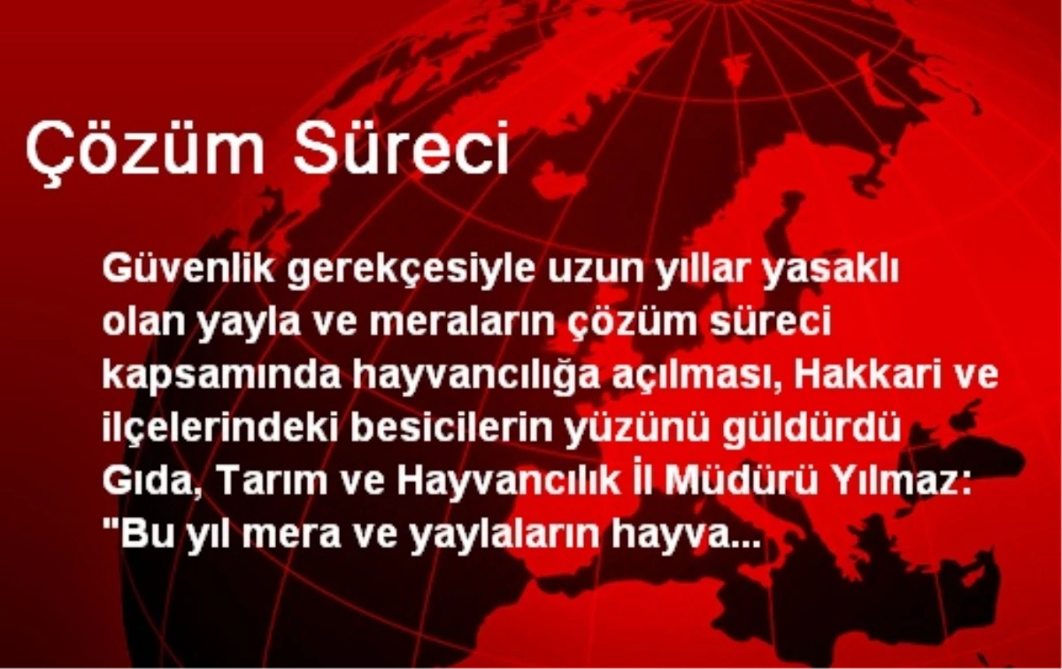 Çözüm Süreci