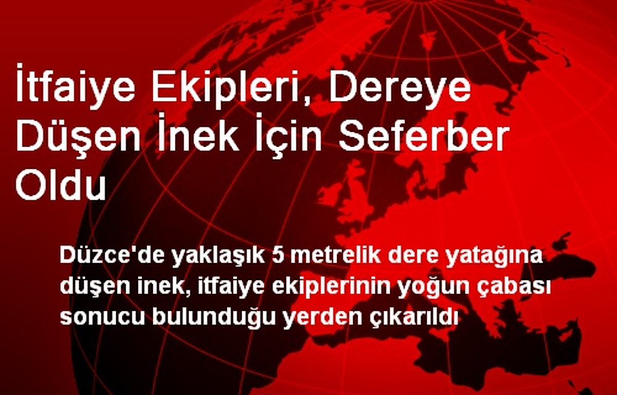 İtfaiye Ekipleri, Dereye Düşen İnek İçin Seferber Oldu