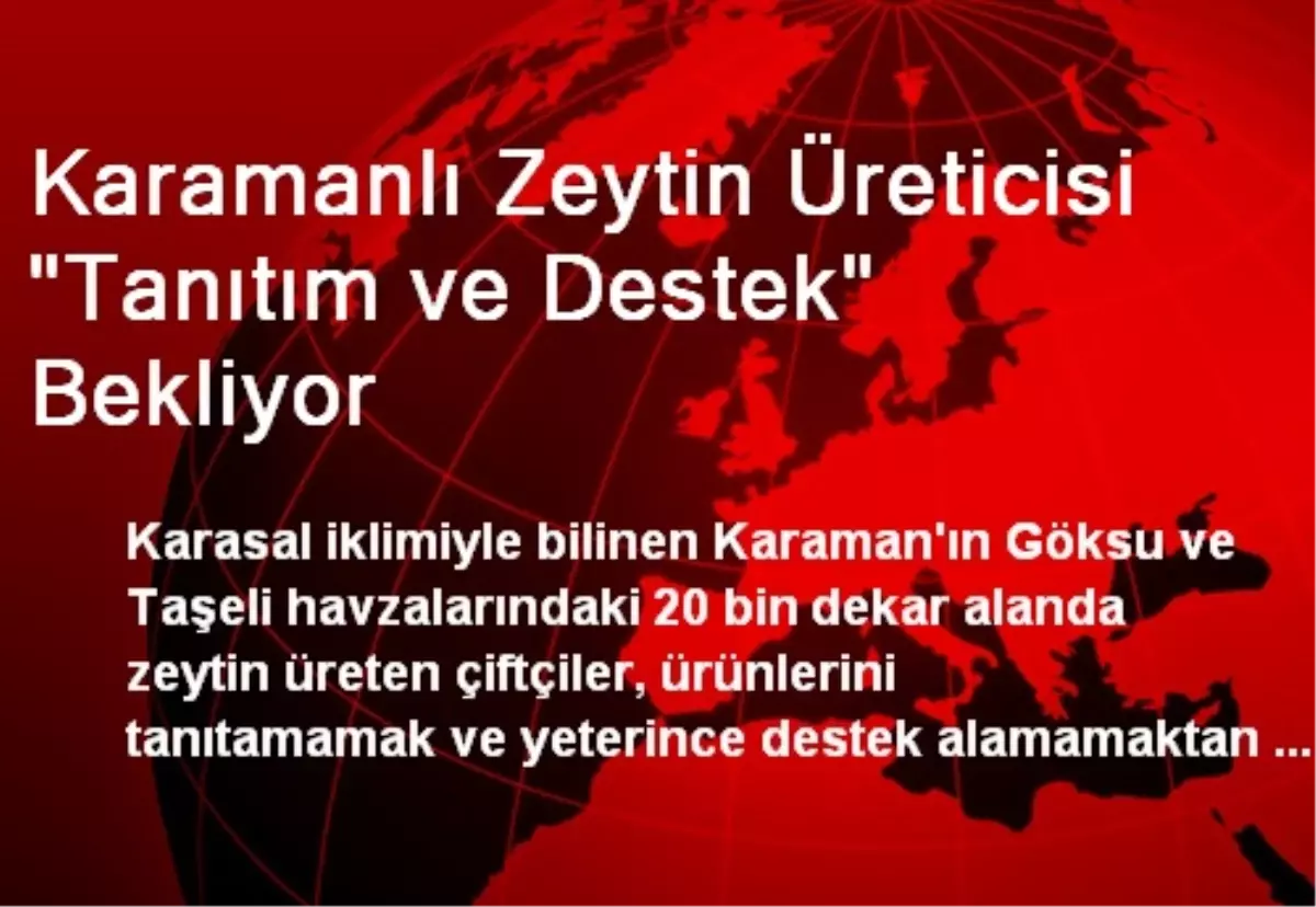 Karamanlı Zeytin Üreticisi "Tanıtım ve Destek" Bekliyor