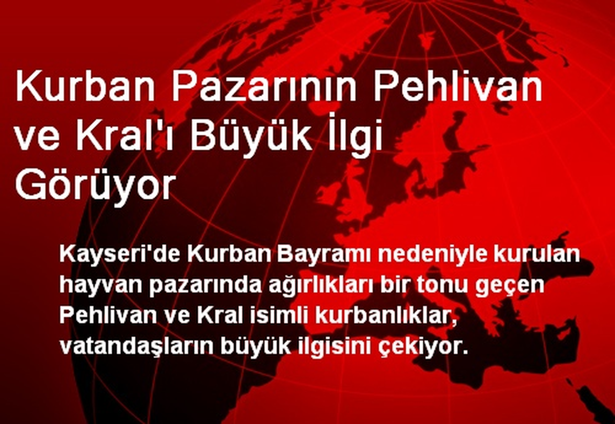 Kurban Pazarının Pehlivan ve Kral\'ı Büyük İlgi Görüyor