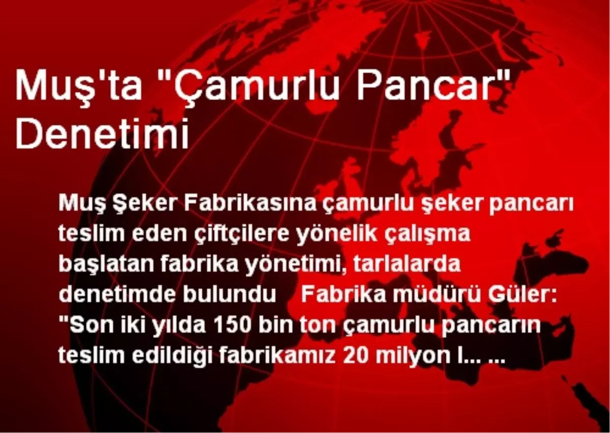 Muş\'ta "Çamurlu Pancar" Denetimi