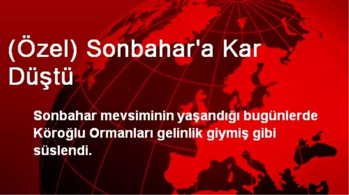 (Özel) Sonbahar\'a Kar Düştü