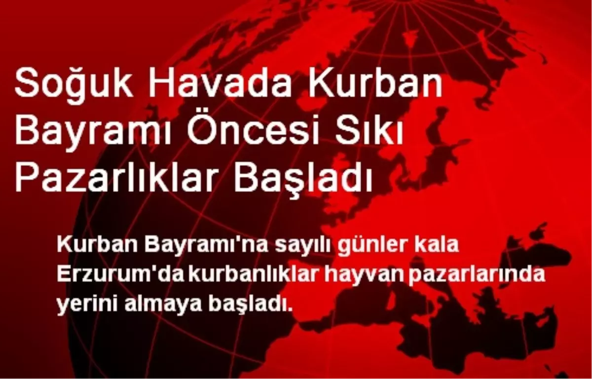 Soğuk Havada Kurban Bayramı Öncesi Sıkı Pazarlıklar Başladı