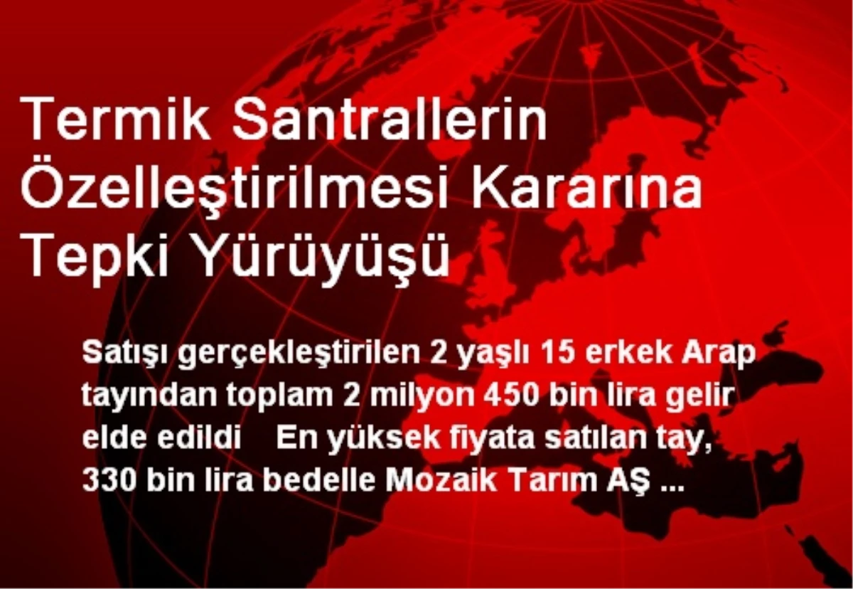 Anadolu Tarım İşletmesi Müdürlüğünden Tay Satışları