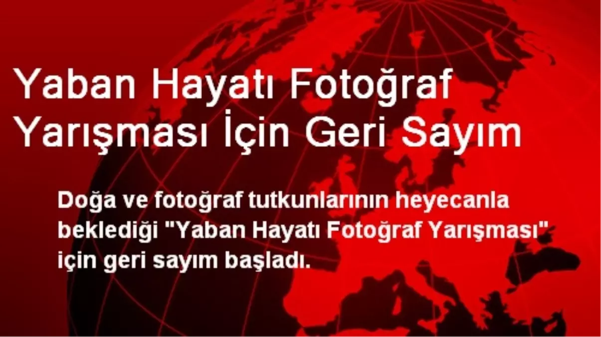 Yaban Hayatı Fotoğraf Yarışması İçin Geri Sayım