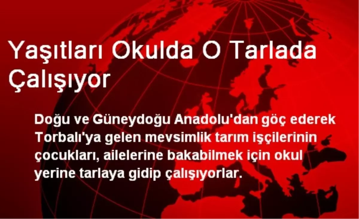 Yaşıtları Okulda O Tarlada Çalışıyor