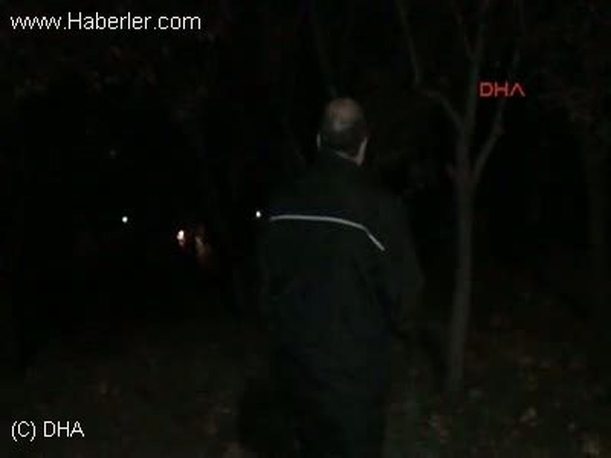 Uludağ\'dan Bursa\'ya 2 Ayı İndi