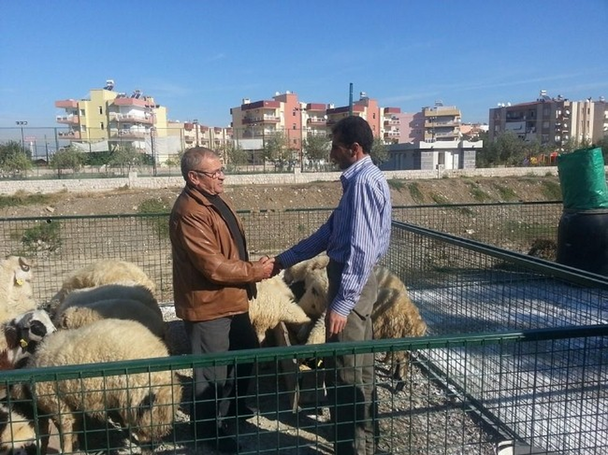 Seferihisar Kurban Pazarında Satışlar Başladı